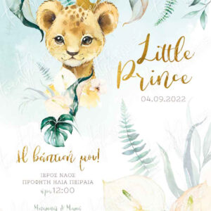 abovethestars.de_twenty2twins_invitation_baptism_prosklitiria_baptisi_22004_boy_1.jpg