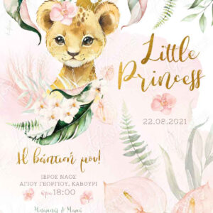 abovethestars.de_twenty2twins_invitation_baptism_prosklitiria_baptisi_22004_girl_1.jpg